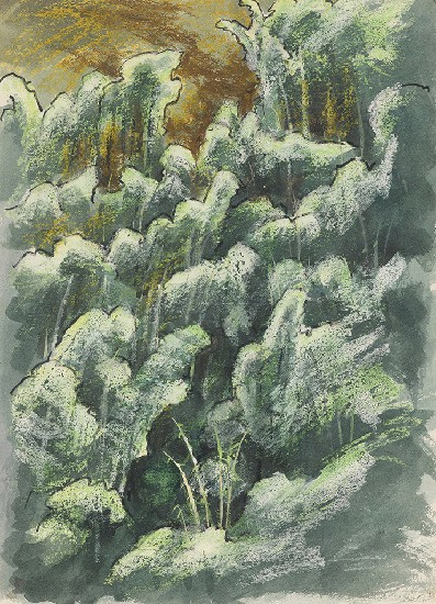 藏品:竹林的(1)張圖片