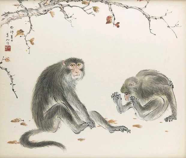 藏品:猴的(1)張圖片