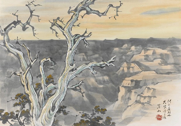 藏品:大峽谷的(1)張圖片