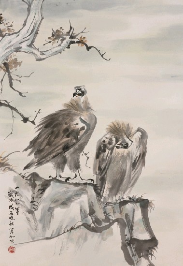 藏品:鷹的(1)張圖片