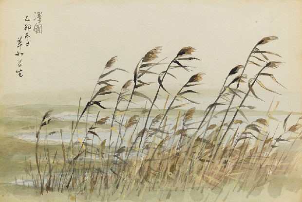 藏品:澤國的(1)張圖片