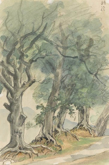 藏品:路徑的(1)張圖片