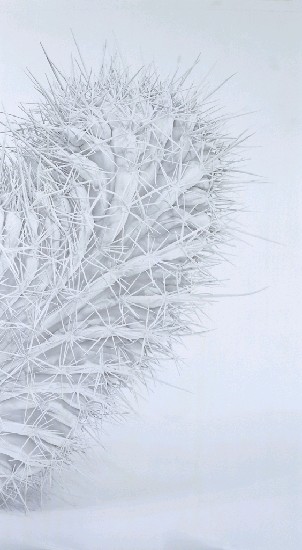 藏品:空白系列011的(2)張圖片