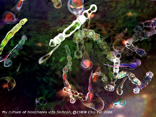 藏品:矽晶裡的生物圈的(1)張圖片