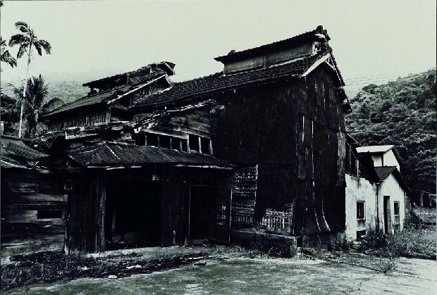 藏品:廢墟迷走II:遠離家園的(5)張圖片