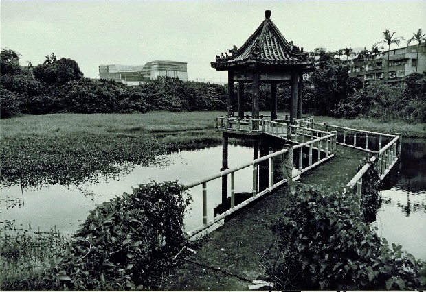 藏品:廢墟迷走II:遠離家園的(6)張圖片