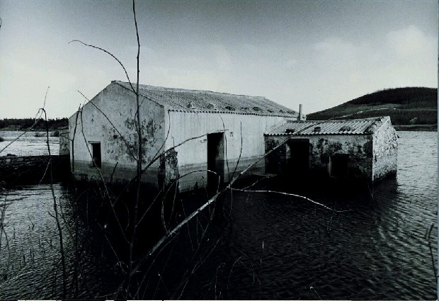 藏品:廢墟迷走II:遠離家園的(14)張圖片