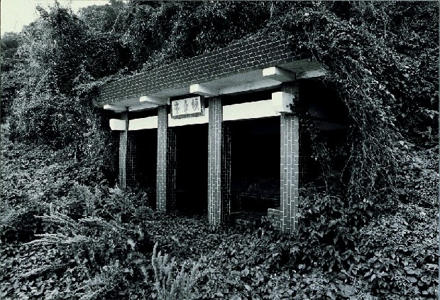 藏品:廢墟迷走II:遠離家園的(24)張圖片