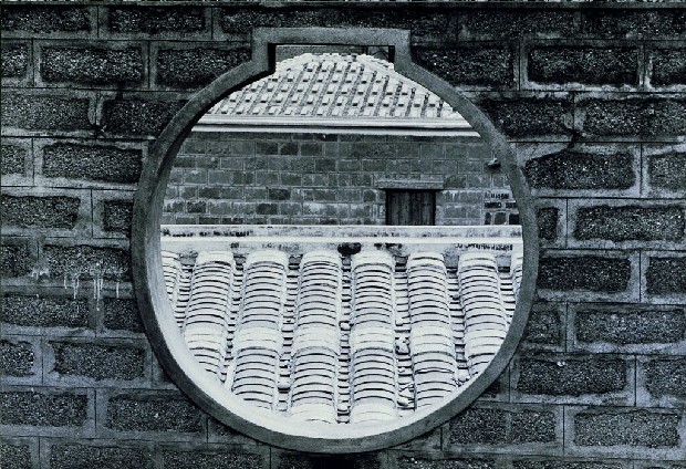 藏品:廢墟迷走II:遠離家園的(25)張圖片