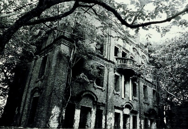 藏品:廢墟迷走II:遠離家園的(31)張圖片