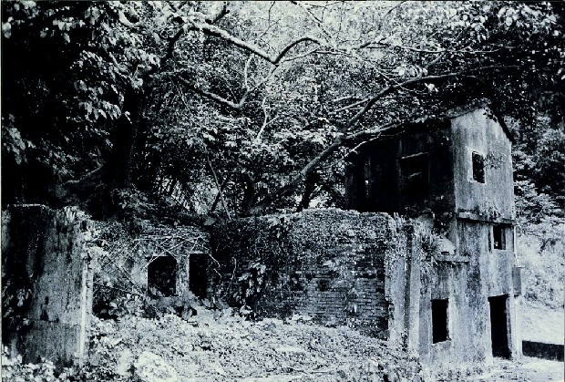 藏品:廢墟迷走II:遠離家園的(33)張圖片