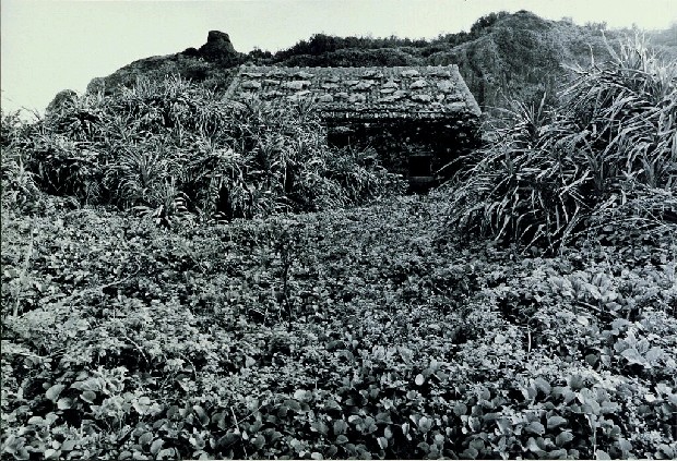 藏品:廢墟迷走II:遠離家園的(39)張圖片