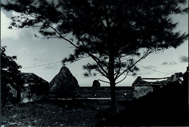 藏品:廢墟迷走II:遠離家園的(43)張圖片