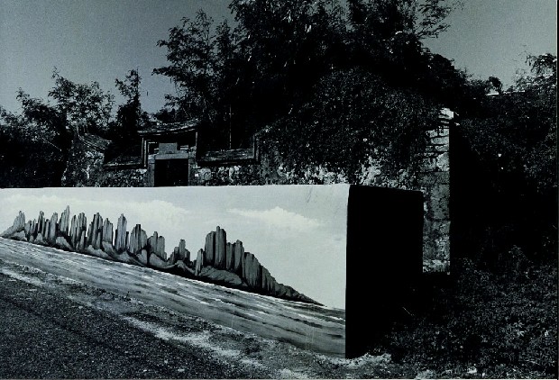 藏品:廢墟迷走II:遠離家園的(44)張圖片