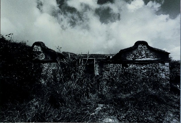 藏品:廢墟迷走II:遠離家園的(48)張圖片