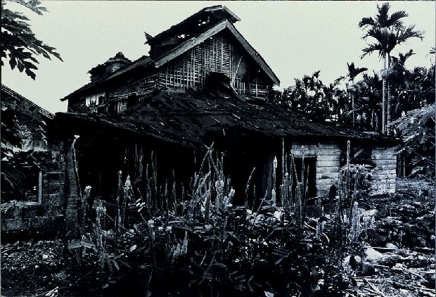 藏品:廢墟迷走II:遠離家園的(49)張圖片