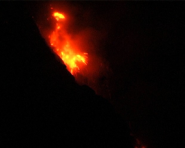 藏品:源的(2)張圖片