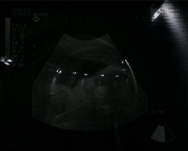 藏品:源的(5)張圖片