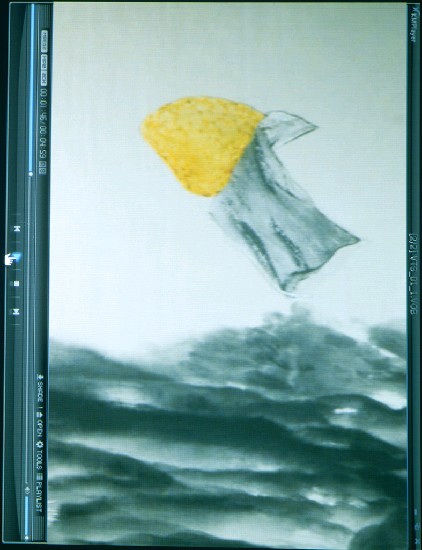 藏品:颱風的(2)張圖片