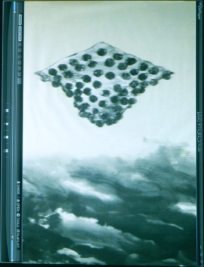 藏品:颱風的(3)張圖片