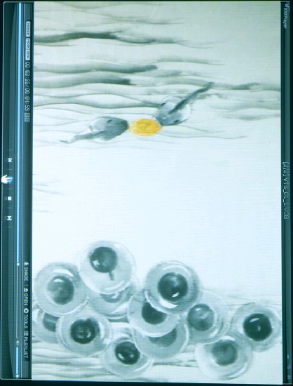 藏品:颱風的(4)張圖片