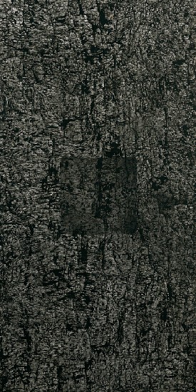 藏品:岩的(3)張圖片