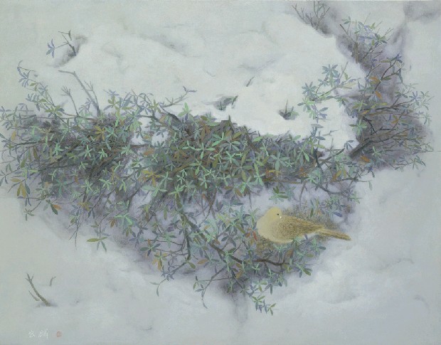 藏品:獨的(1)張圖片