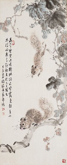 藏品:松鼠的(1)張圖片