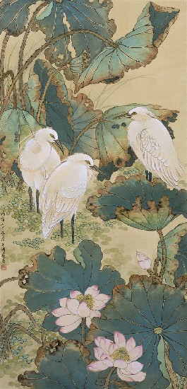 藏品:荷景的(1)張圖片