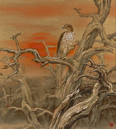 藏品:荒林的(1)張圖片