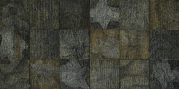 藏品:表象的(3)張圖片