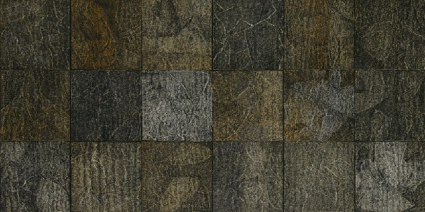 藏品:表象的(4)張圖片