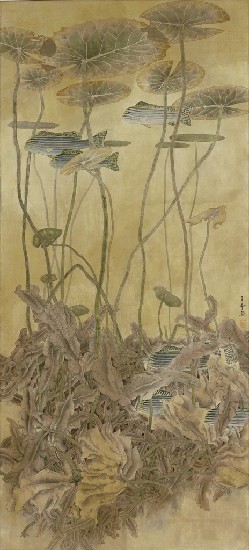 藏品:不同的視點的(1)張圖片