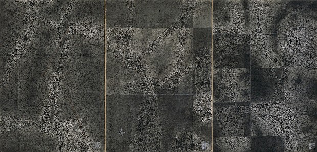 藏品:領域的(1)張圖片