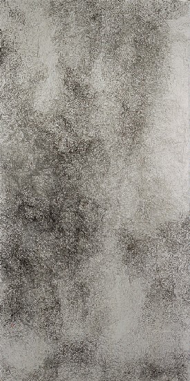 心天地的焦點圖