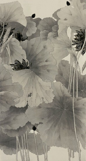 藏品:金風玉露的(2)張圖片