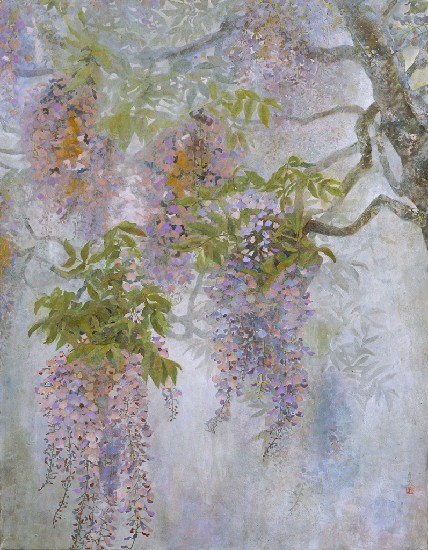 藏品:紫藤的(1)張圖片