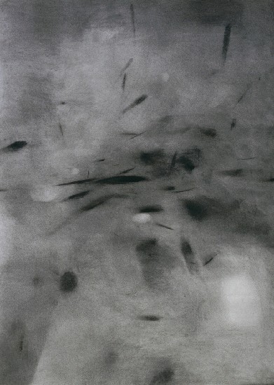 藏品:心靈感動視覺化1999-1的(1)張圖片