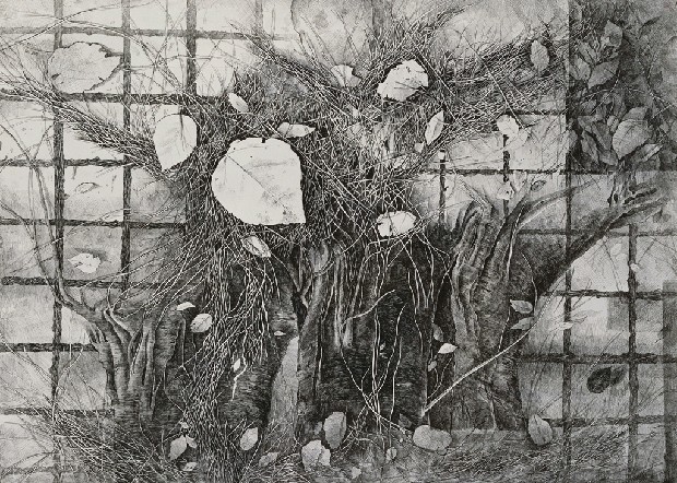 藏品:紛亂的(1)張圖片