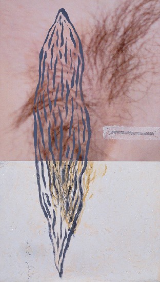 藏品:身體意象II的(2)張圖片