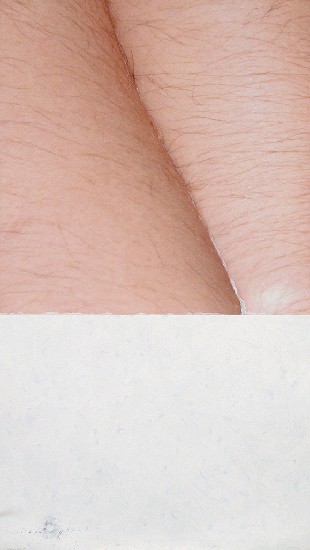 藏品:身體意象II的(3)張圖片