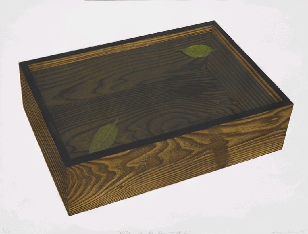 藏品:盒中水-85'2的(1)張圖片