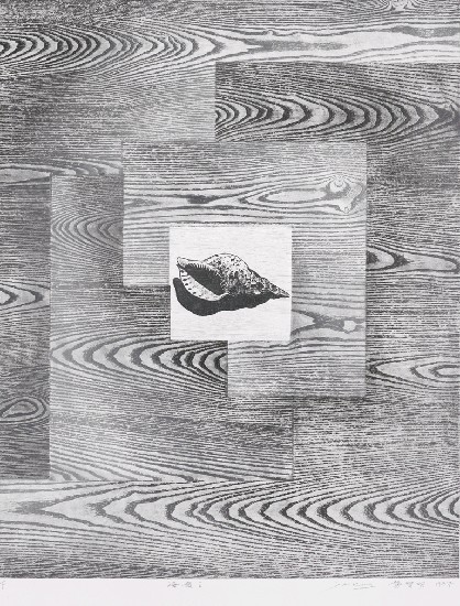 藏品:海韻的(1)張圖片