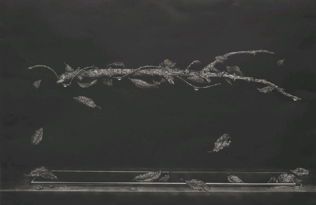 木葉交錯的焦點圖