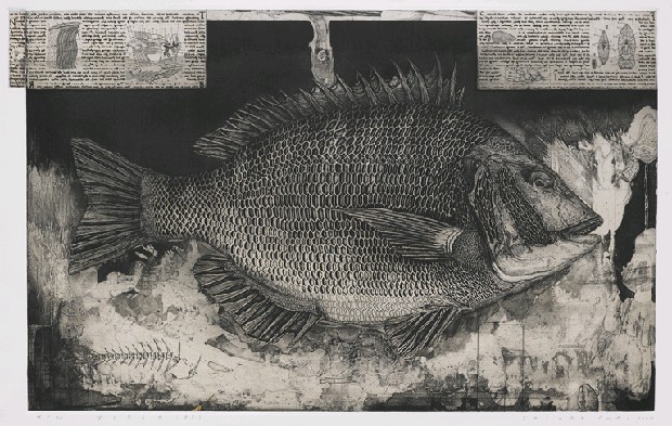 壽司丸九(茅渟)的焦點圖