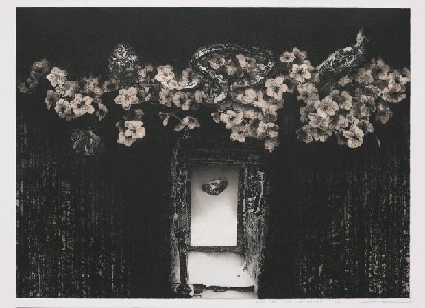 眾妙之門的焦點圖