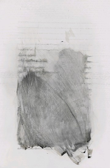 水中的瓜子的焦點圖