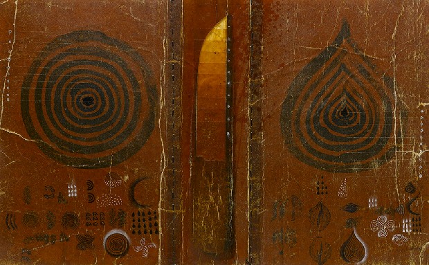 藏品:洋蔥的(1)張圖片