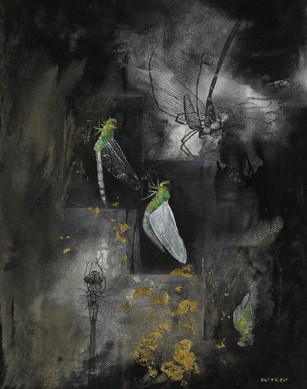 藏品:幻化的(1)張圖片