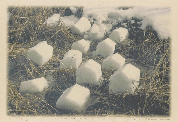 藏品:雪作的(1)張圖片